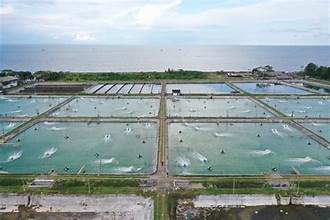 Biotech Septic Tank Batang