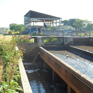 Inviro Jasa IPAL Pekanbaru
