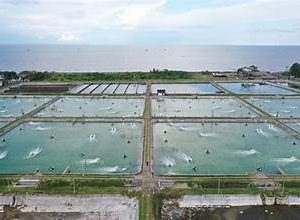 Jasa IPAL Padang Panjang